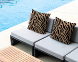 Valerie Zebra Print Indoor/Outdoor Reversible Square Pillow