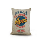 Potato Sack Faux Linen Lumber Pillow