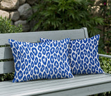 Ballen Zebra Print Indoor/Outdoor Reversible Rectangular Pillow