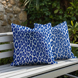 Ballen Zebra Print Indoor/Outdoor Reversible Square Pillow