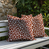 Ballen Zebra Print Indoor/Outdoor Reversible Square Pillow