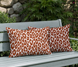 Ballen Zebra Print Indoor/Outdoor Reversible Rectangular Pillow