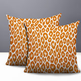 Ballen Zebra Print Indoor/Outdoor Reversible Square Pillow