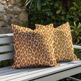 Ballen Zebra Print Indoor/Outdoor Reversible Square Pillow