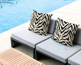 Billi Zebra Print Indoor/Outdoor Reversible Square Pillow