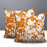 Cabo Zebra Print Indoor/Outdoor Reversible Square Pillow