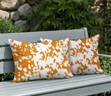 Cabo Zebra Print Indoor/Outdoor Reversible Rectangular Pillow