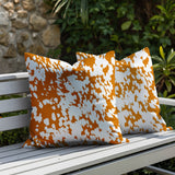 Cabo Zebra Print Indoor/Outdoor Reversible Square Pillow