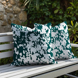 Cabo Zebra Print Indoor/Outdoor Reversible Square Pillow