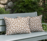 Cheya Zebra Print Indoor/Outdoor Reversible Rectangular Pillow
