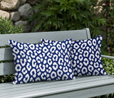 Cheya Zebra Print Indoor/Outdoor Reversible Rectangular Pillow