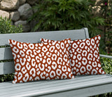 Cheya Zebra Print Indoor/Outdoor Reversible Rectangular Pillow