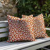 Cheya Zebra Print Indoor/Outdoor Reversible Square Pillow