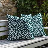 Cheya Zebra Print Indoor/Outdoor Reversible Square Pillow