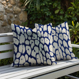 Clio Zebra Print Indoor/Outdoor Reversible Square Pillow