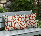 Clio Zebra Print Indoor/Outdoor Reversible Rectangular Pillow