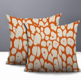 Clio Zebra Print Indoor/Outdoor Reversible Square Pillow