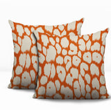 Clio Zebra Print Indoor/Outdoor Reversible Square Pillow