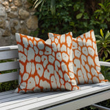 Clio Zebra Print Indoor/Outdoor Reversible Square Pillow