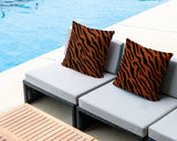 Valerie Zebra Print Indoor/Outdoor Reversible Square Pillow
