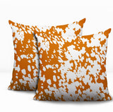 Cabo Zebra Print Indoor/Outdoor Reversible Square Pillow