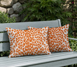 Dibi Zebra Print Indoor/Outdoor Reversible Rectangular Pillow