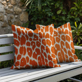 Nubi Zebra Print Indoor/Outdoor Reversible Square Pillow