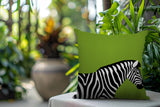 Hala Zebra Reversible Indoor/Outdoor Square Pillow