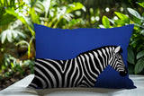 Hala Zebra Reversible Indoor/Outdoor Square Pillow