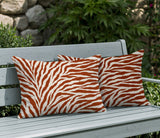 Jay Zebra Print Indoor/Outdoor Reversible Rectangular Pillow