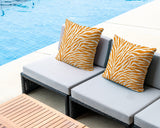 Jay Zebra Print Indoor/Outdoor Reversible Square Pillow