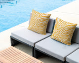 Jay Zebra Print Indoor/Outdoor Reversible Square Pillow