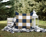 Jeb Checkered Reversible Indoor/Outdoor Square Pillow