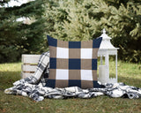 Jeb Checkered Reversible Indoor/Outdoor Square Pillow