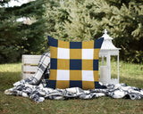 Jeb Checkered Reversible Indoor/Outdoor Square Pillow