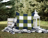 Jeb Checkered Reversible Indoor/Outdoor Square Pillow