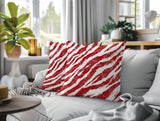 Juno Zebra Print Indoor/Outdoor Reversible Square Pillow