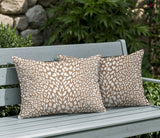 Kiefer Zebra Print Indoor/Outdoor Reversible Rectangular Pillow