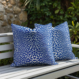 Kiefer Zebra Print Indoor/Outdoor Reversible Square Pillow