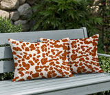 Lexy Zebra Print Indoor/Outdoor Reversible Rectangular Pillow