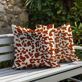 Lexy Zebra Print Indoor/Outdoor Reversible Square Pillow