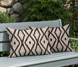 Millie Zebra Print Indoor/Outdoor Reversible Rectangular Pillow