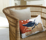 Muya Abstract Outdoor Reversible Throw Rectangular Pillow