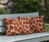 Nubi Zebra Print Indoor/Outdoor Reversible Rectangular Pillow