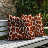 Nubi Zebra Print Indoor/Outdoor Reversible Square Pillow