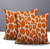 Nubi Zebra Print Indoor/Outdoor Reversible Square Pillow
