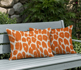 Nubi Zebra Print Indoor/Outdoor Reversible Rectangular Pillow