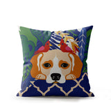 Oly Microsuede Square Throw Pillow