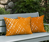 Riju Scratches 2 Sets Indoor/Outdoor Reversible Rectangular Pillow