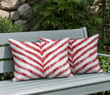 Scaro Zebra Print Indoor/Outdoor Reversible Rectangular Pillow